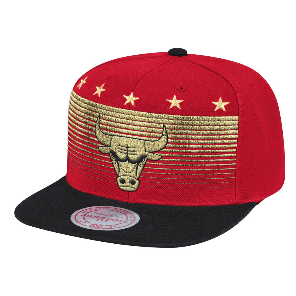 NBA The Champ Snapback Bulls