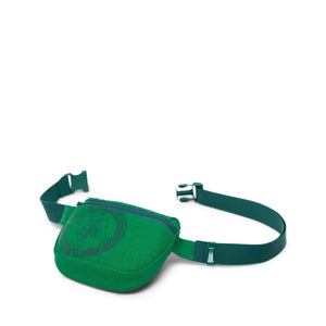 Boston Celtics Fifteen Waistpack