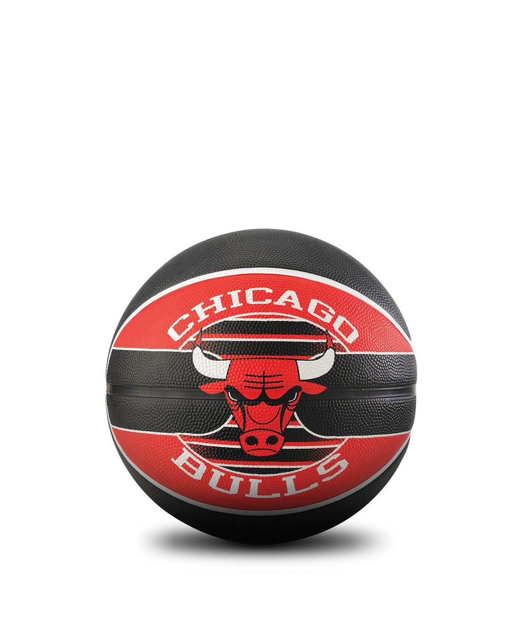 NBA Team Chicago Bulls (Outdoor)