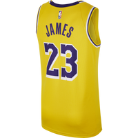 LeBron James LAL Icon Edition Nike NBA Swingman Jersey