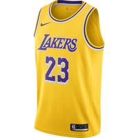 LeBron James LAL Icon Edition Nike NBA Swingman Jersey